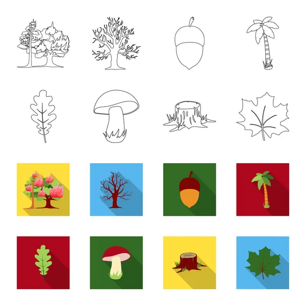 Folha de carvalho, cogumelo, toco, folha de ácer. Ícones de coleção de conjunto de floresta no contorno, estilo flet vector símbolo ilustração web . — Vetor de Stock