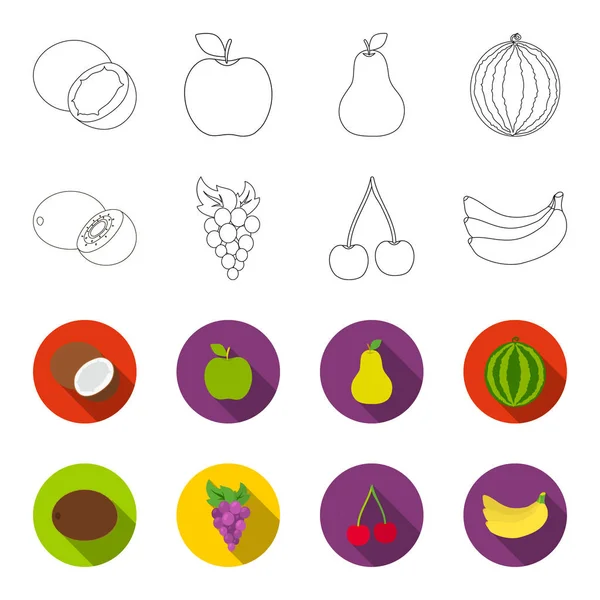 Kiwi, raisin, cerise, banane.Fruits ensemble icônes de la collection dans le contour, flet style vectoriel symbole illustration web . — Image vectorielle