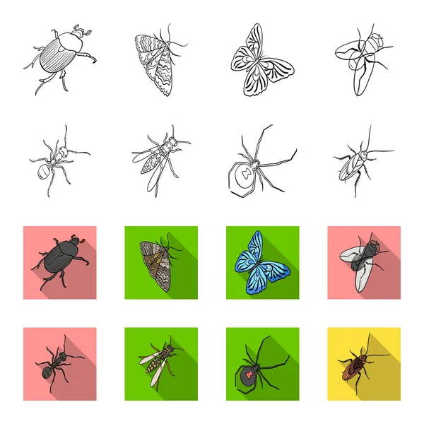 Ein Insekt Gliederfüßer, eine osa, eine Spinne, eine Kakerlake. Insekten setzen Sammlungssymbole in Umrissen, Flet-Stil Vektor Symbol Stock isometrische Illustration Web. — Stockvektor