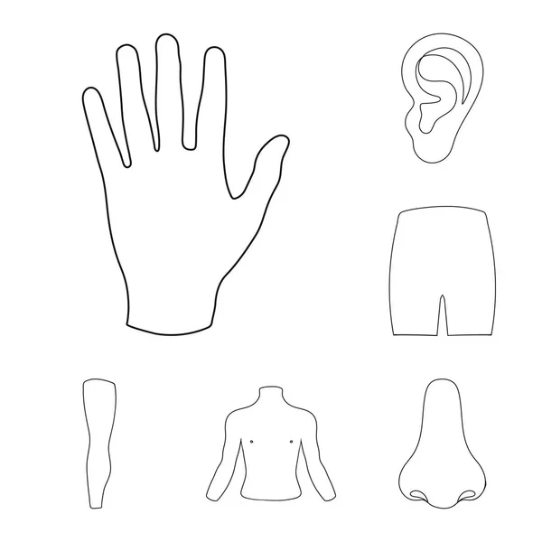 Часть тела, очертания конечностей иконки в наборе коллекции для дизайна. Векторные векторные символы человека . — стоковый вектор