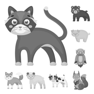 Oyuncak hayvanlar set koleksiyonu tasarım için tek renkli simgeler. Kuş, predator ve otobur sembol stok web illüstrasyon vektör.