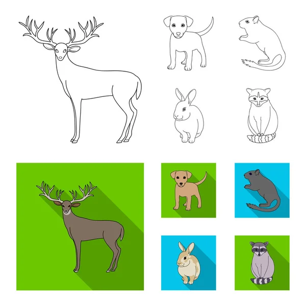 Puppy, rodent, rabbit and other animal species.Animals set collection icons in outline,flat style vector symbol stock illustration web. — Stock Vector