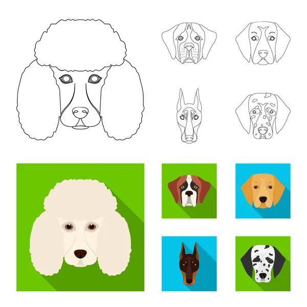 Bozal de diferentes razas de perros.Perro de la raza San Bernardo, golden retriever, Doberman, dálmata conjunto colección iconos en el contorno, plano estilo vector símbolo stock ilustración web . — Vector de stock