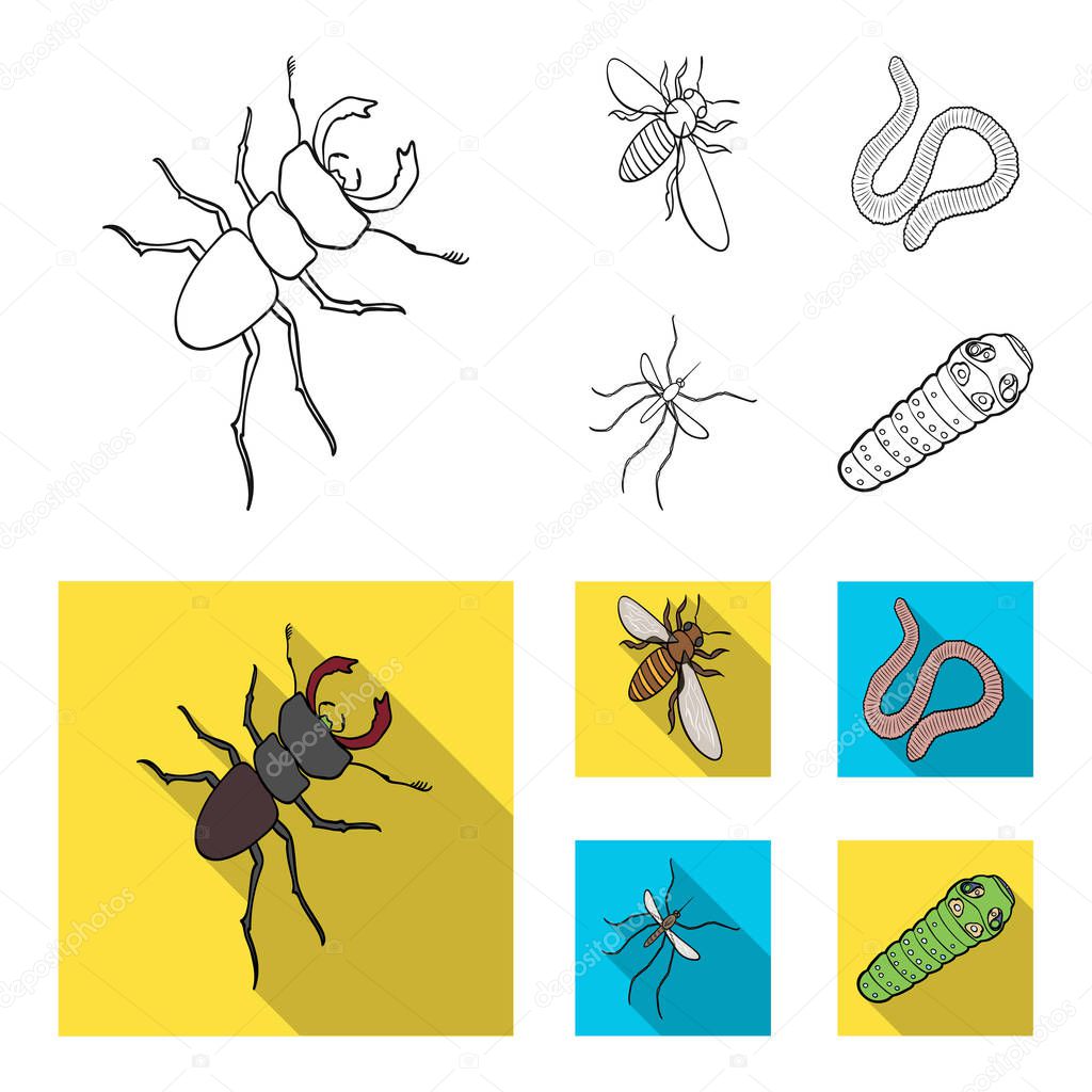 Arthropods insect mosquito, bee.Earth worm, caterpillar,vermicular set collection icons in outline,flat style vector symbol stock isometric illustration web.