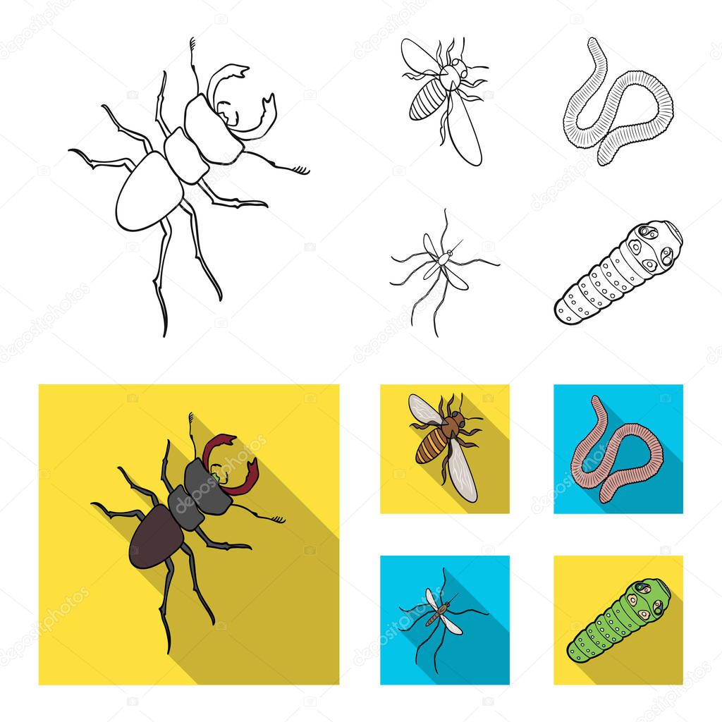 Arthropods insect mosquito, bee.Earth worm, caterpillar,vermicular set collection icons in outline,flat style vector symbol stock isometric illustration .