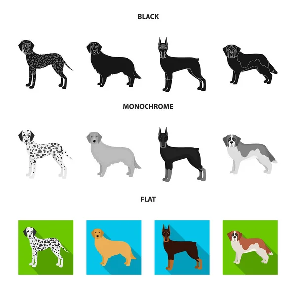Kutya fajták, fekete, sima, fekete-fehér ikonok beállítása gyűjtemény a design. Kutya kisállat vektor szimbólum állomány honlap illusztráció. — Stock Vector