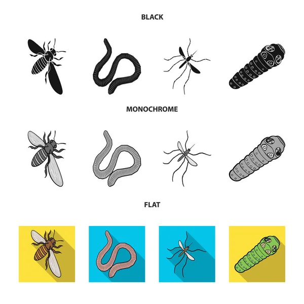 Artrópodos insecto mosquito, abeja. gusano de la tierra, oruga, iconos de colección conjunto vermicular en negro, plano, monocromo símbolo de vectores stock isométrica ilustración web . — Vector de stock