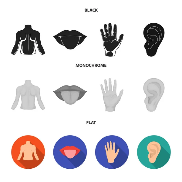 Baksidan av person, munnen, hand, öra. Del av kroppen som samling ikoner i svart, platt, svartvit stil vektor symbol stock illustration web. — Stock vektor