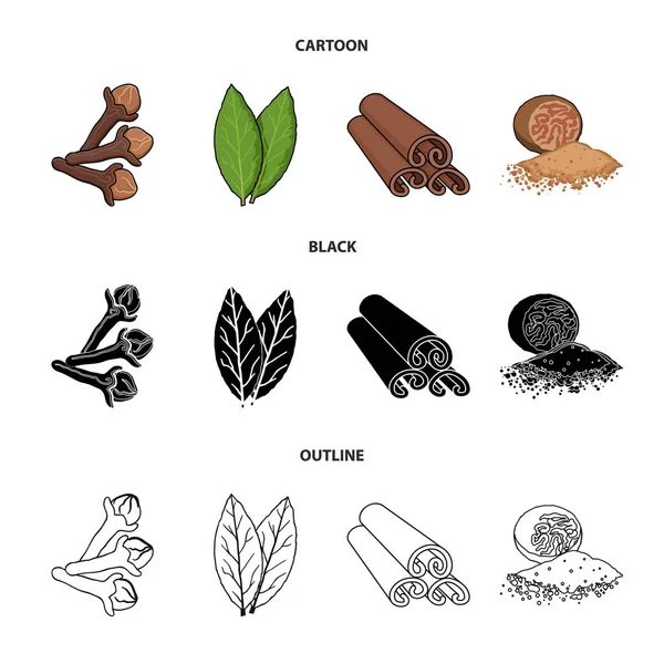 Clove, folha baia, noz-moscada, canela. Ervas e especiarias definir ícones de coleção em desenhos animados, preto, estilo esboço vector símbolo ilustração web . — Vetor de Stock