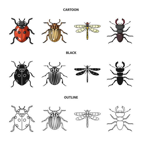 Insect, bug, beetle, paw .Insects set collection icons in cartoon,black,outline style vector symbol stock illustration web. — Stock Vector
