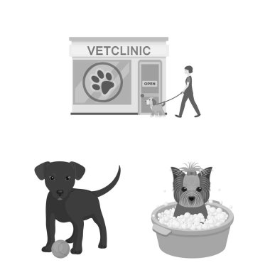 Set koleksiyonu tasarım için evde beslenen hayvan tek renkli simgeler. Bakım ve eğitim sembol stok web illüstrasyon vektör.