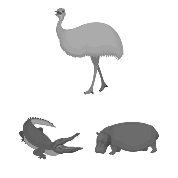 Different animals monochrome icons in set collection for design. Bird, predator and herbivore vector symbol stock web illustration. — Stock Vector
