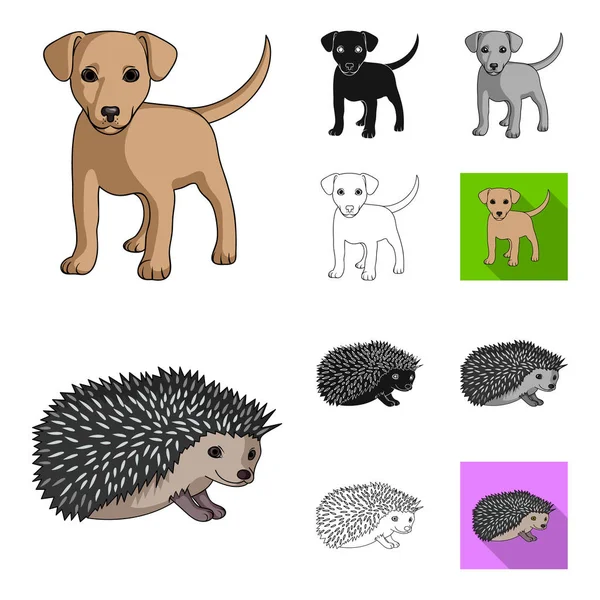 Realistic animals cartoon,black,flat,monochrome,outline icons in set collection for design. Wild and domestic animals vector symbol stock web illustration. — Stock Vector