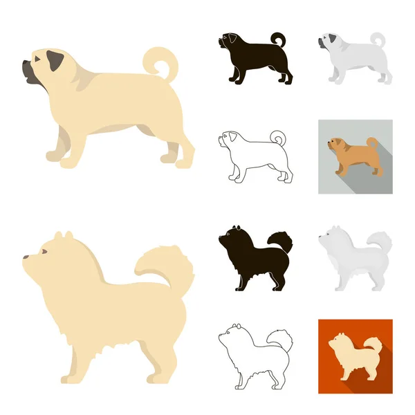 Raças de cães desenhos animados, preto, plano, monocromático, ícones de contorno na coleção de conjuntos para design.Dog animal de estimação símbolo web ilustração . — Vetor de Stock