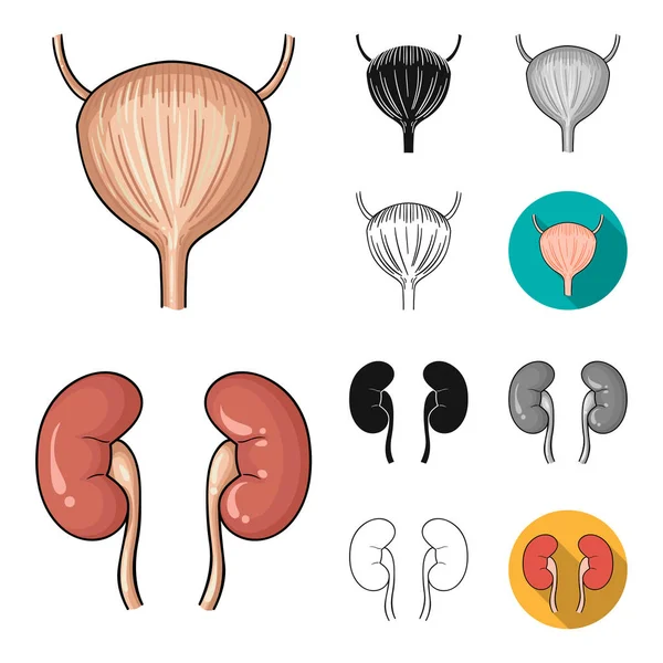 Human organs cartoon, black, flat, monochrome, outline icons in set collection for design. Анатомия и внутренние органы векторные символы веб-иллюстрации . — стоковый вектор