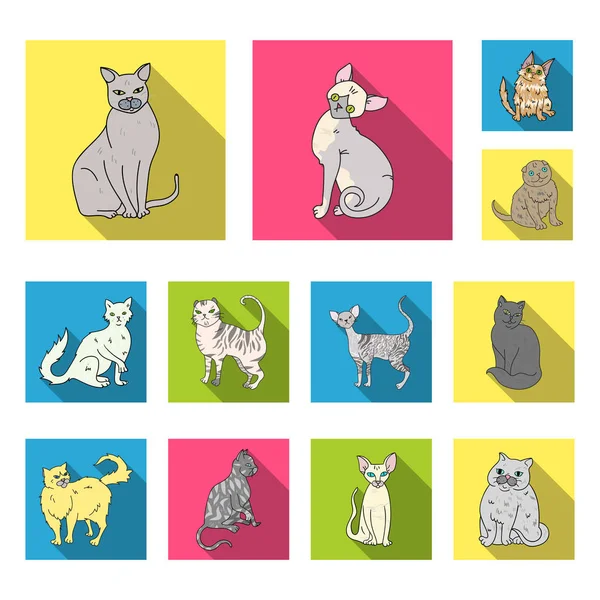Razas de gatos iconos planos en colección de conjuntos para el diseño. Mascota gato vector símbolo stock web ilustración . — Archivo Imágenes Vectoriales