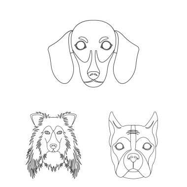Köpek ırkları set koleksiyonu tasarım için simgeleri anahat. Bir köpek vektör simge stok web illüstrasyon namlu.
