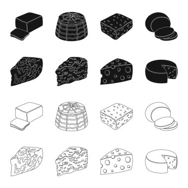 Parmesan, rokfor, maasdam, gauda. Farklı peynir toplama simgeler siyah, anahat stili vektör simge stok çizim web içinde ayarla..