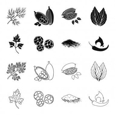 Ptrushka, karabiber, kırmızı biber, biber. Otlar ve baharatlar toplama simgeler siyah, anahat stili vektör simge stok çizim web ayarla.