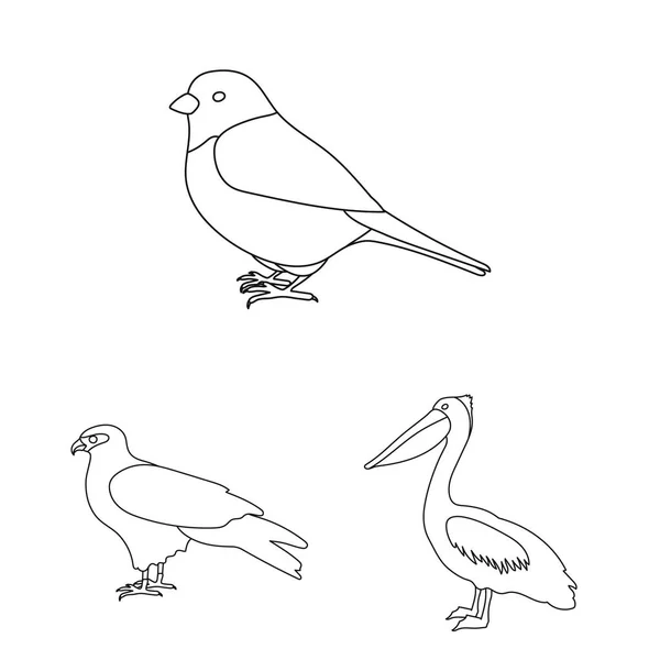Kuş türleri set koleksiyonu tasarım için simgeleri anahat. Ev ve vahşi kuş vektör simge stok web çizim. — Stok Vektör