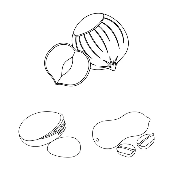 Diferentes tipos de nueces esbozan iconos en la colección de conjuntos para design.Nut Alimento vector símbolo stock web ilustración . — Vector de stock