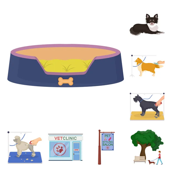 Ícones de desenhos animados para animais de estimação na coleção de conjuntos para design. Cuidados e educação símbolo vetor web ilustração . —  Vetores de Stock