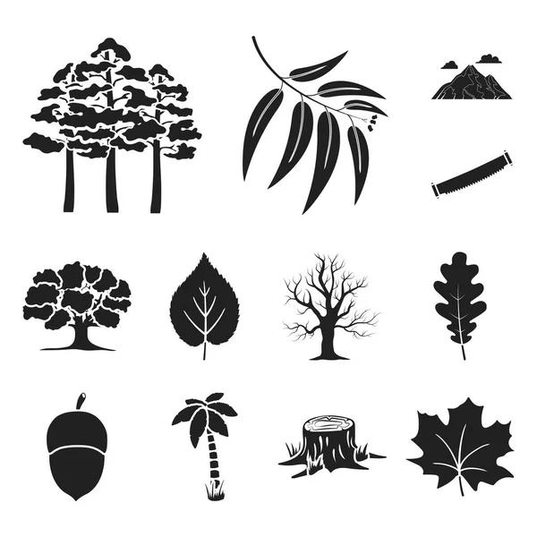 Bos en natuur zwarte pictogrammen in set collectie voor design. Bos leven vectorillustratie symbool voorraad web. — Stockvector