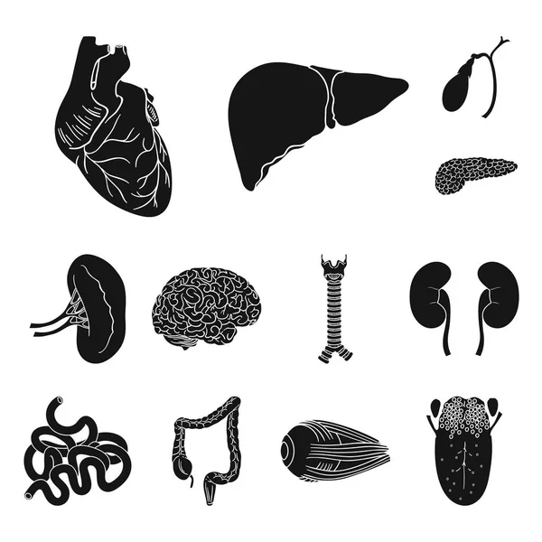 Menschliche Organe schwarze Ikonen in Set-Kollektion für Design. Anatomie und innere Organe Vektor Symbol Stock Web Illustration. — Stockvektor