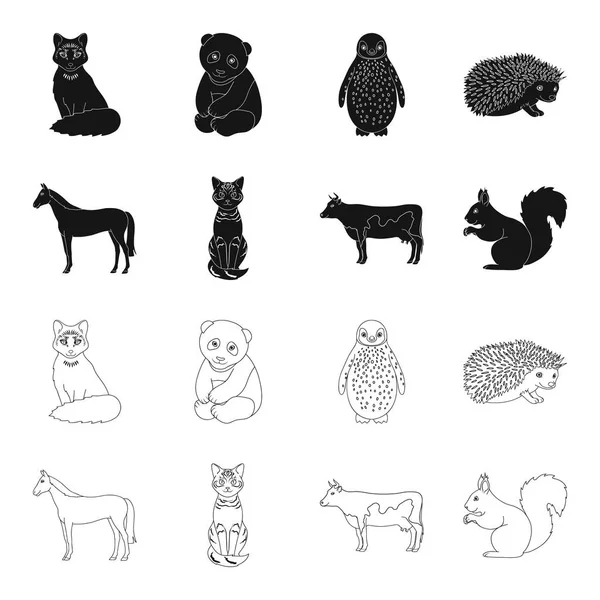 Caballo, vaca, gato, ardilla y otros tipos de animales.Animals conjunto colección iconos en negro, contorno estilo vector símbolo stock ilustración web . — Archivo Imágenes Vectoriales