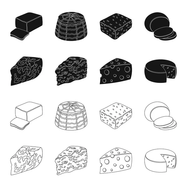 Parmesano, roquefort, maasdam, gauda.Different tipos de queso conjunto colección iconos en negro, contorno estilo vector símbolo stock ilustración web . — Vector de stock