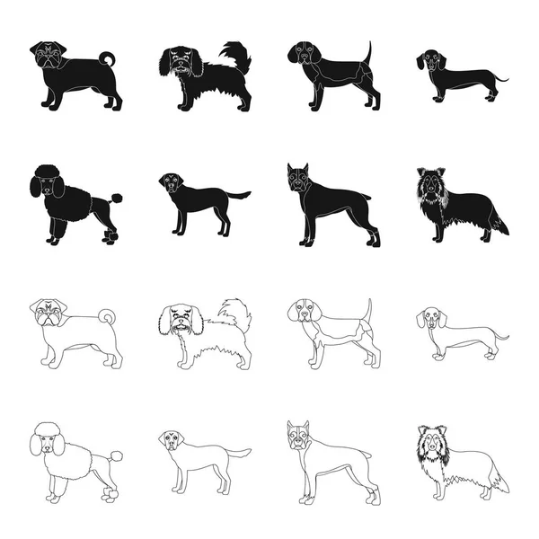 Dog breeds black,outline icons in set collection for design.Dog pet vector symbol stock web illustration. — Stock Vector