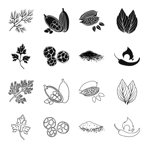 Ptrushka, schwarzer pfeffer, paprika, chili.herbs and Gewürze set collection icons in black, outline style vector symbol stock illustration web. — Stockvektor
