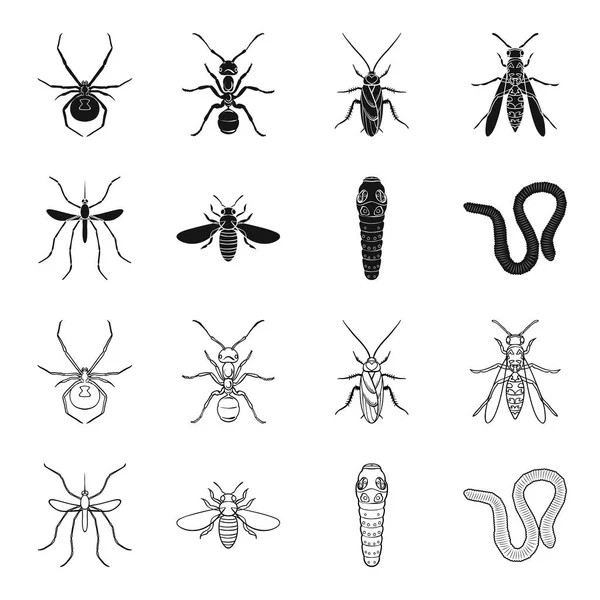 Ver, mille-pattes, guêpe, abeille, frelon. Les insectes placent les icônes de la collection en noir, style contour vectoriel symbole illustration web . — Image vectorielle