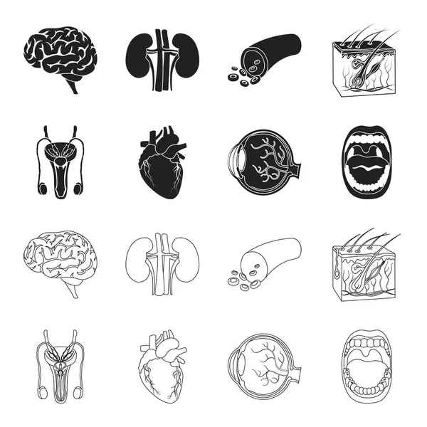 Système masculin, cœur, globe oculaire, cavité buccale. Organes mis icônes collection en noir, contour de style vectoriel symbole illustration web . — Image vectorielle