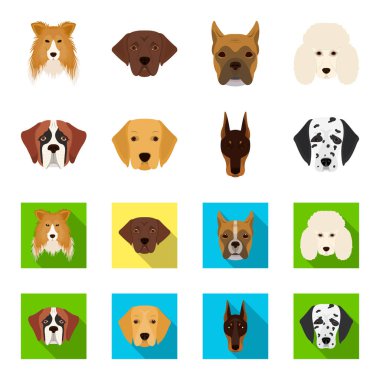 Farklı doğurmak-in köpek ağızlık. St. Bernard, golden retriever, Doberman, Dalmaçyalı doğurmak köpek toplama simgeler çizgi film, düz stil vektör simge stok çizim web ayarla..