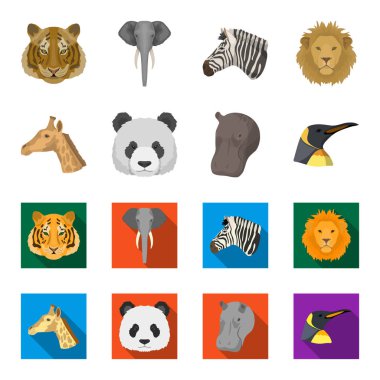 Panda, zürafa, su aygırı, Penguen, gerçekçi Hayvanlar Karikatür, düz stil vektör simge stok çizim web simgeler ayarla.
