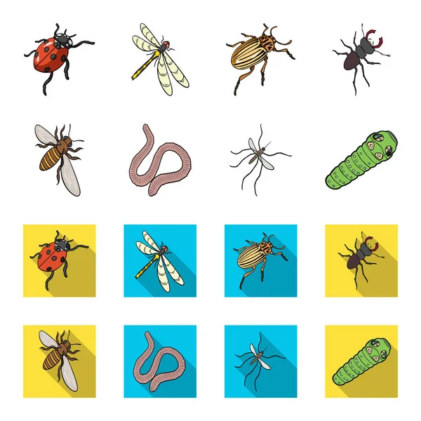 Arthropods insect mosquito, bee.Earth worm, caterpillar,vermicular set collection icons in cartoon,flat style vector symbol stock isometric illustration web. — Stock Vector
