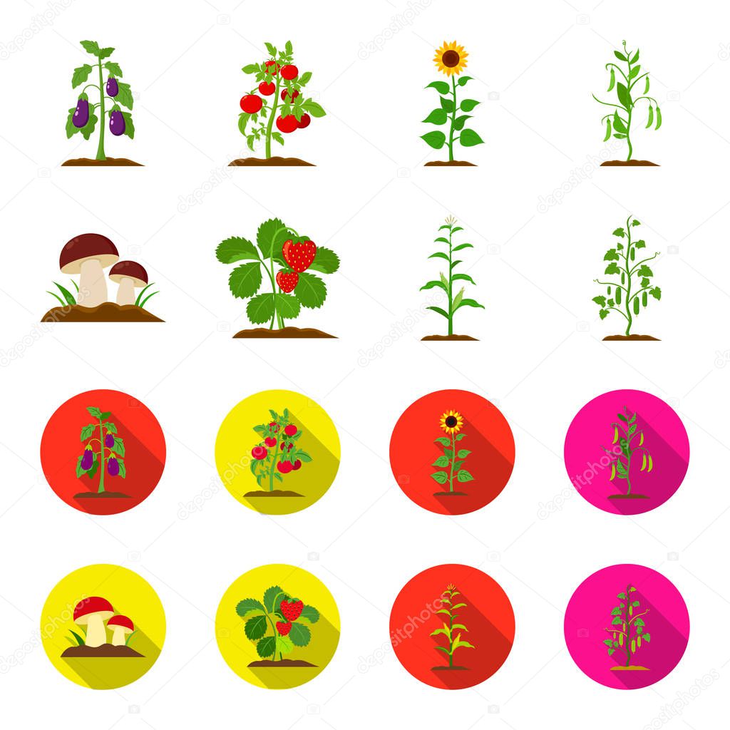 Mushrooms, strawberries, corn, cucumber.Plant set collection icons in cartoon,flat style vector symbol stock illustration web.