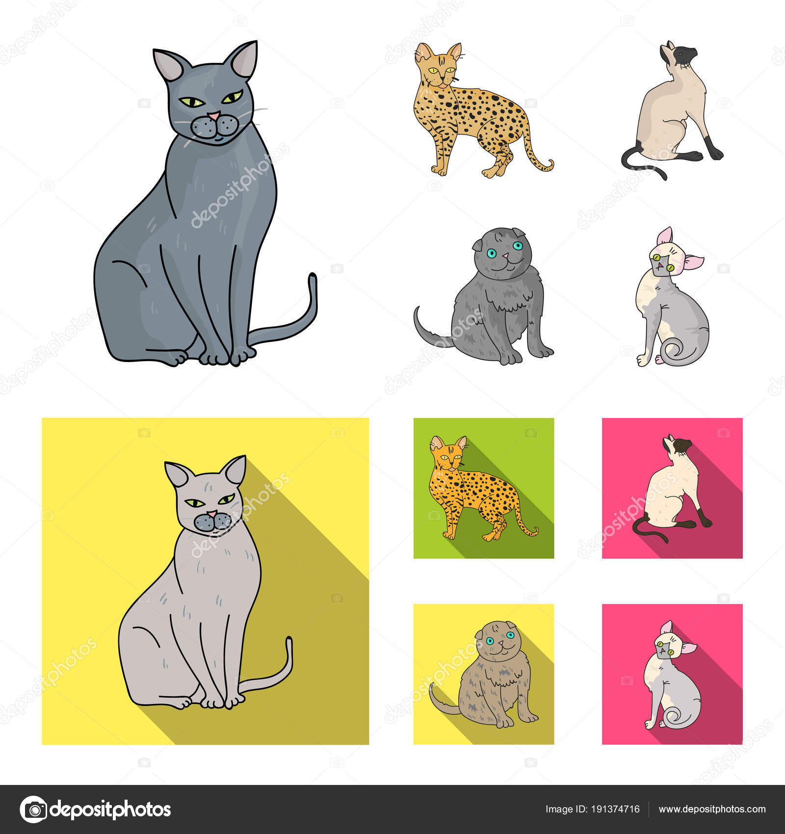 Siamese E Altre Specie Razze Del Gatto Collezione Icone Stabilite