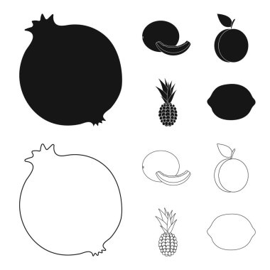 Karpuz, Erik, ananas, limon. Meyve toplama simgeler siyah, anahat stili vektör simge stok çizim web içinde ayarla..