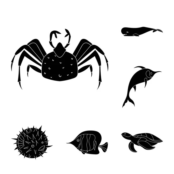 Una variedad de animales marinos iconos negros en la colección de conjuntos para el diseño. Peces y mariscos vector símbolo stock web ilustración . — Vector de stock