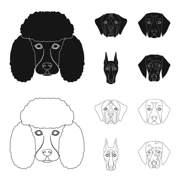 不同品种的狗的枪口。犬的品种 st. 伯纳德, 金猎犬, 猎犬, 达尔马提亚集合图标在黑色, 轮廓样式矢量符号股票插画网站. — 图库矢量图片