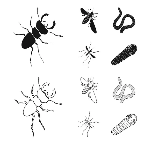 Arthropods insect mosquito, bee.Earth worm, caterpillar,vermicular set collection icons in black,outline style vector symbol stock isometric illustration web. — Stock Vector