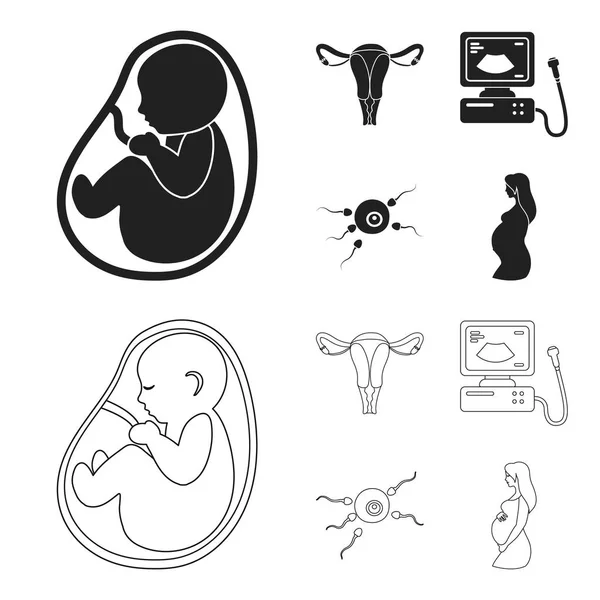 Utero, apparecchio di ecografia, fecondazione. Set gravidanza icone di raccolta in nero, contorno stile vettore simbolo stock illustrazione web . — Vettoriale Stock