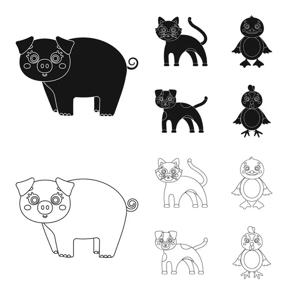 Entertainment, farm, pets and other web icon in black,outline style. Eggs, toy, recreation icons in set collection. — Stock Vector