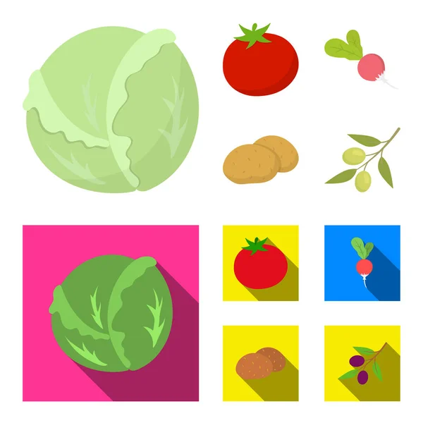 Repolho branco, tomate vermelho, arroz, batatas. Vegetais conjunto coleção ícones em desenhos animados, estilo plano símbolo vetorial ilustração web . — Vetor de Stock