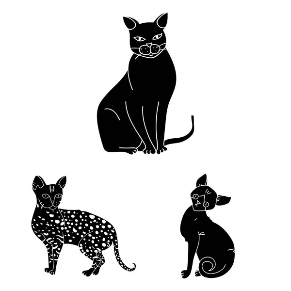 Jenis kucing ikon hitam dalam koleksi set untuk desain. Ilustrasi web stok simbol vektor kucing peliharaan . - Stok Vektor