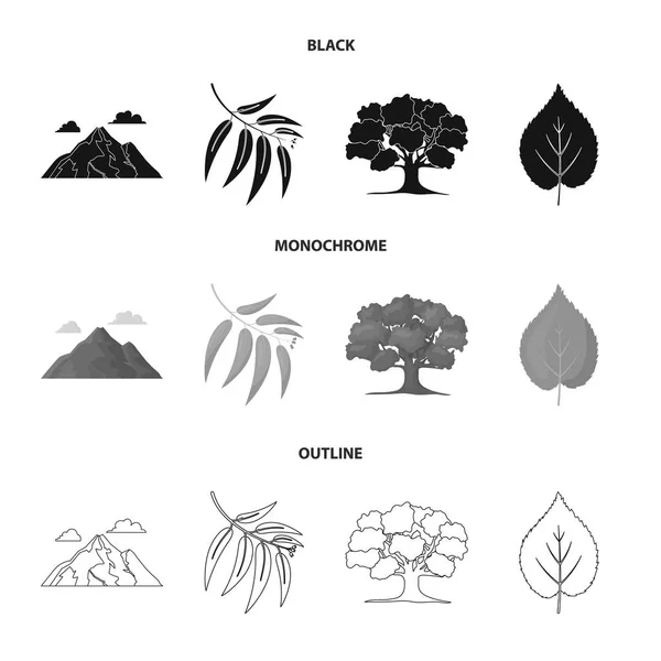 Montaña, nube, árbol, rama, hoja. Iconos de colección conjunto de bosque en negro, monocromo, contorno estilo vector símbolo stock illustration web . — Vector de stock