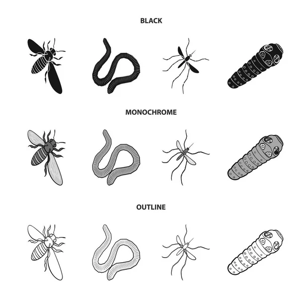 Arthropods insect mosquito, bee.Earth worm, caterpillar,vermicular set collection icons in black,monochrome,outline style vector symbol stock isometric illustration web. — Stock Vector