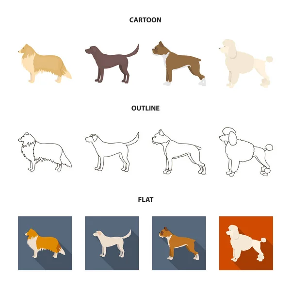 Collie, labrador, boxeador, caniche. Perro razas conjunto colección iconos en dibujos animados, contorno, plano estilo vector símbolo stock ilustración web . — Vector de stock